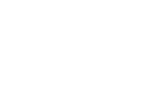 VES logo